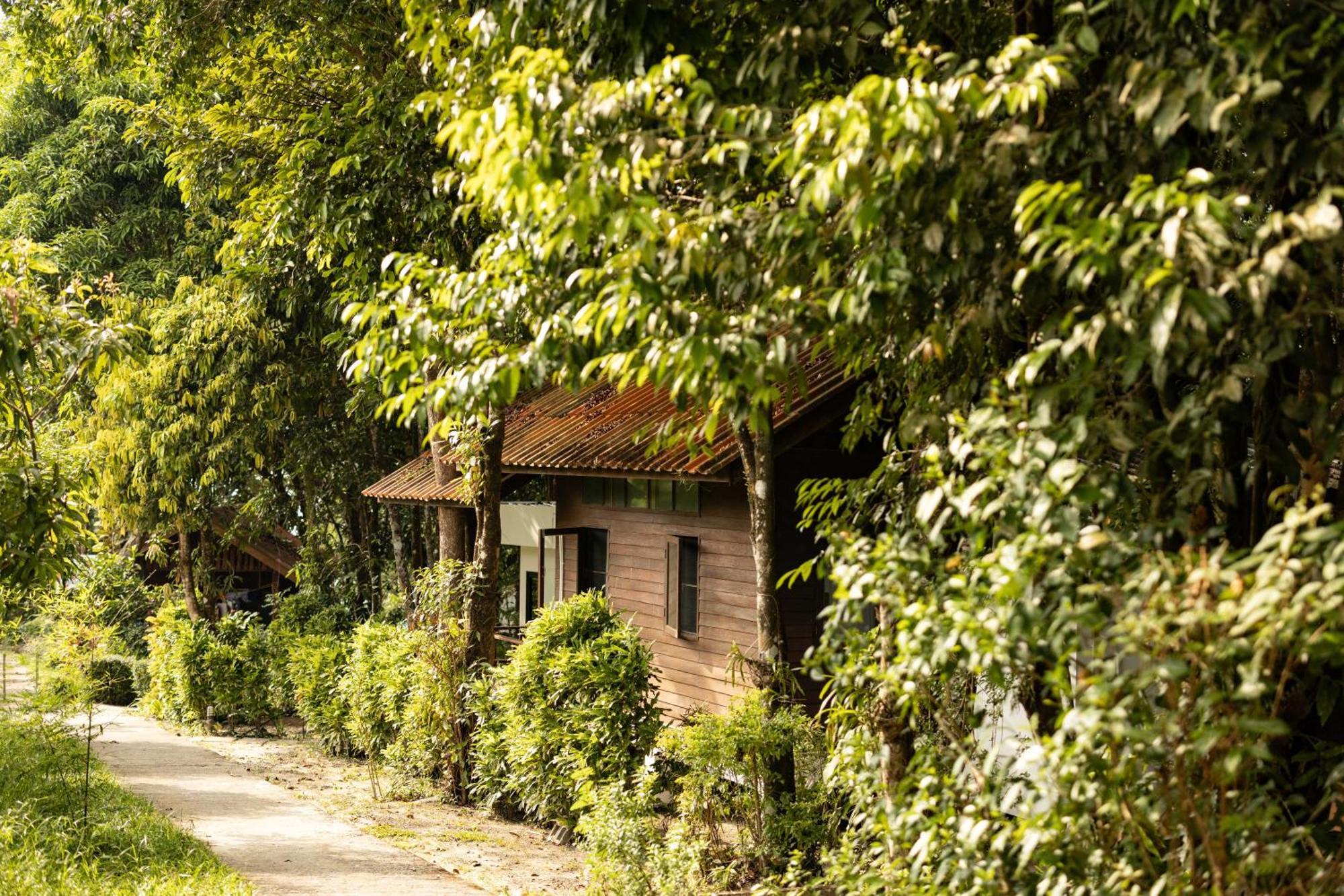 Barefoot Project Formerly Baan Klong Kleng Koh Phayam Exterior photo
